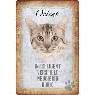 Schild Spruch "Ocicat, intelligent ruhig neugierig" 20 x 30 cm  