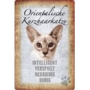 Schild Spruch "Orientalische Kurzhaarkatze,...