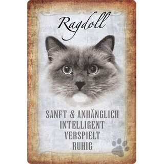 Schild Spruch "Ragdoll, sanft intelligent ruhig" Katze 20 x 30 cm 