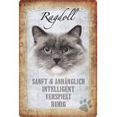 Schild Spruch "Ragdoll, sanft intelligent...