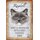 Schild Spruch "Ragdoll, sanft intelligent ruhig" Katze 20 x 30 cm 