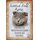 Schild Spruch "Scottish Fold Katze, freundlich sensibel" 20 x 30 cm 