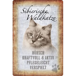 Schild Spruch "Sibierische Waldkatze, hübsch pflegeleicht" 20 x 30 cm 