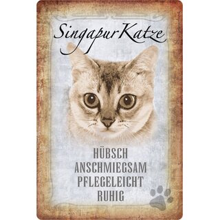 Schild Spruch "Singapur Katze, hübsch pflegeleicht ruhig" 20 x 30 cm 