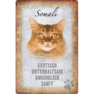 Schild Spruch "Somali, exotisch unterhaltsam sanft" Katze 20 x 30 cm 