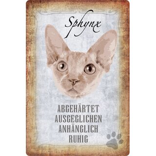 Schild Spruch "Spyhnx, abgehärtet ausgeglichen ruhig" Katze 20 x 30 cm 