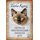 Schild Spruch "Tonka Katze, freundlich anhänglich aktiv" 20 x 30 cm