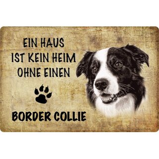 Schild Spruch "Haus kein Heim ohne Border Collie" Hund 20 x 30 cm 