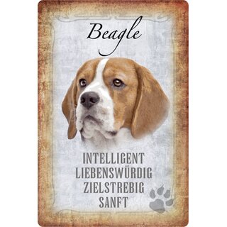 Schild Spruch "Beagle, intelligent zielstrebig sanft" Hund 20 x 30 cm 
