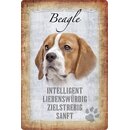 Schild Spruch "Beagle, intelligent zielstrebig...