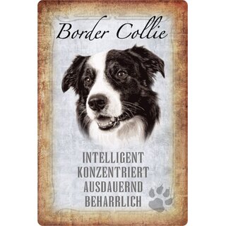 Schild Spruch "Border Collie, intelligent ausdauernd" Hund 20 x 30 cm 