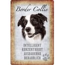 Schild Spruch Border Collie, intelligent ausdauernd Hund...
