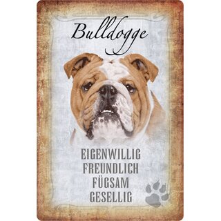 Schild Spruch "Bulldogge, eigenwillig freundlich fügsam" Hund 20 x 30 cm