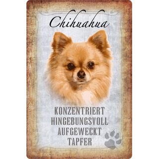 Schild Spruch "Chihuahua, konzentriert hingebungsvoll" Hund 20 x 30 cm 