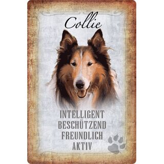Schild Spruch "Collie, intelligent beschützend" Hund 20 x 30 cm 