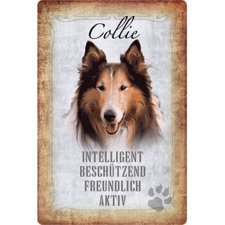 Schild Spruch "Collie, intelligent beschützend" Hund 20 x 30 cm