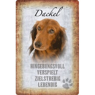 Schild Spruch "Dackel, hingebungsvoll verspielt" Hund 20 x 30 cm 