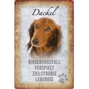 Schild Spruch "Dackel, hingebungsvoll...