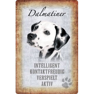Schild Spruch "Dalmatiner, intelligent kontaktfreudig" Hund 20 x 30 cm