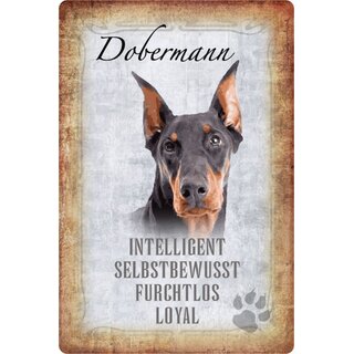 Schild Spruch "Dobermann, intelligent selbstbewusst" Hund 20 x 30 cm 