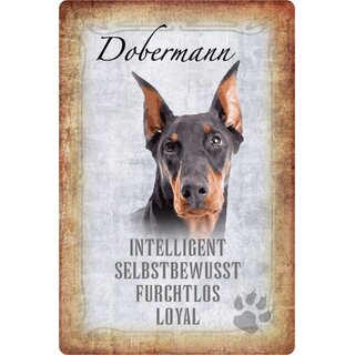 Schild Spruch "Dobermann, intelligent selbstbewusst" Hund 20 x 30 cm