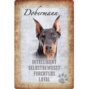 Schild Spruch "Dobermann, intelligent...