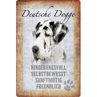 Schild Spruch "Deutsche Dogge, hingebungsvoll" Hund 20 x 30 cm 