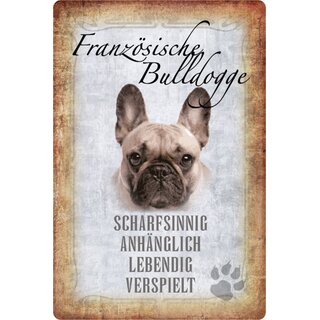 Schild Spruch "Französische Bulldogge, scharfsinnig" Hund 20 x 30 cm 
