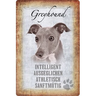 Schild Spruch "Greyhound, intelligent athletisch" Hund 20 x 30 cm 