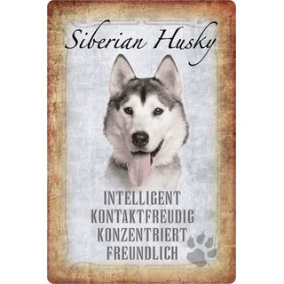 Schild Spruch "Sibirian Husky, intelligent konzentriert" Hund 20 x 30 cm
