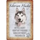 Schild Spruch Sibirian Husky, intelligent konzentriert...