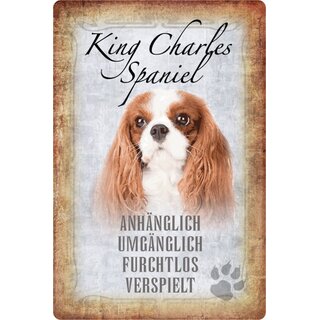 Schild Spruch "King Charles Spaniel, anhänglich" Hund 20 x 30 cm 