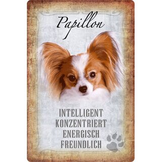 Schild Spruch "Papillon, intelligent energisch freundlich" Hund 20 x 30 cm 