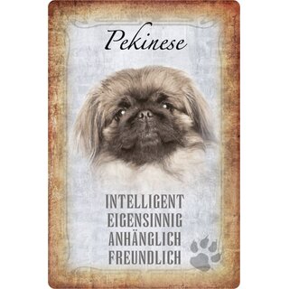 Schild Spruch "Pekinese, intelligent anhänglich" Hund 20 x 30 cm 