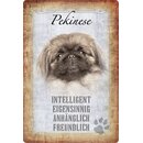 Schild Spruch "Pekinese, intelligent...