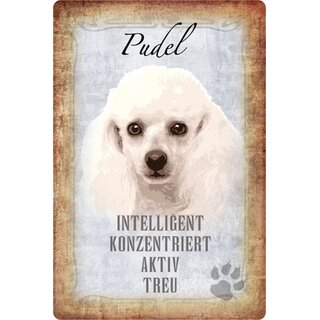 Schild Spruch "Pudel, intelligent aktiv treu" Hund 20 x 30 cm 