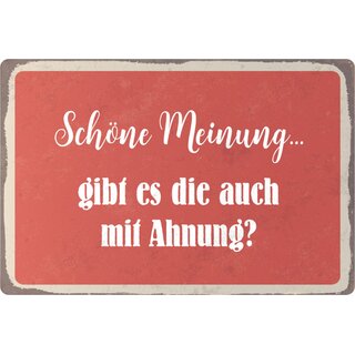 Schild Spruch "Schöne Meinung, gibt es die mit Ahnung" 20 x 30 cm