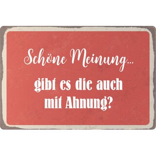 Schild Spruch "Schöne Meinung, gibt es die mit Ahnung" 20 x 30 cm 