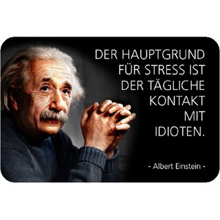 Schild Spruch "Grund Stress tägliche Kontakt Idioten, Einstein" 20 x 30 cm 