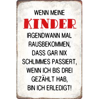 Schild Spruch "Kinder, nichts Schlimmes bis drei gezählt, erledigt" 20 x 30 cm 