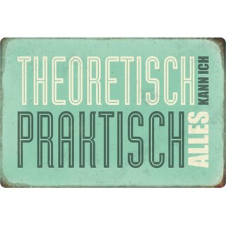 Schild Spruch "Theoretisch kann ich praktisch alles" 20 x 30 cm