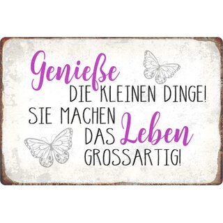 Schild Spruch "Genieße kleinen Dinge, machen Leben großartig - Schmetterlinge" 20 x 30 cm 