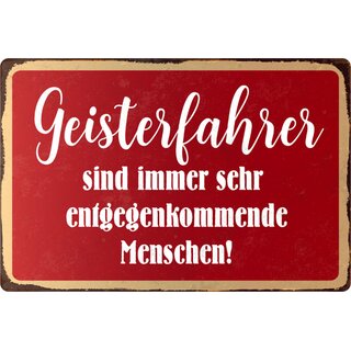 Schild Spruch "Geisterfahrer entgegenkommende Menschen" 20 x 30 cm