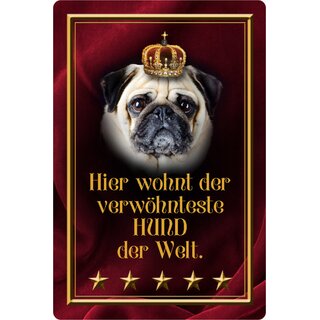 Schild Spruch "Hier wohnt verwöhnteste Hund der Welt" Mops 20 x 30 cm 