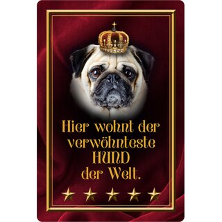 Schild Spruch "Hier wohnt verwöhnteste Hund der Welt" Mops 20 x 30 cm