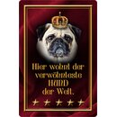 Schild Spruch "Hier wohnt verwöhnteste Hund der...