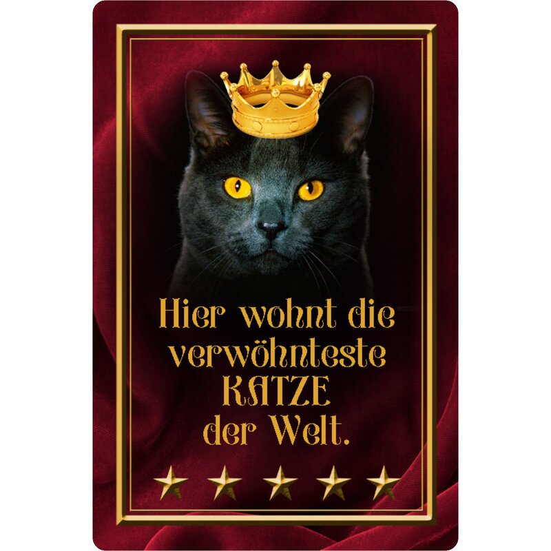 Schatzmix Metallschild 'Verwöhnteste Deutsche Dogge Der Welt' – 20x30 Cm, Gewölbt, Mehrfarbig, Made In Germany