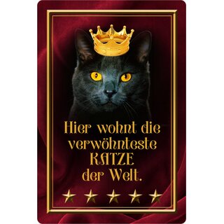 Schild Spruch "Hier wohnt verwöhnteste Katze der Welt" 20 x 30 cm