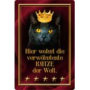 Schild Spruch "Hier wohnt verwöhnteste Katze...