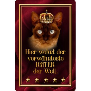 Schild Spruch "Hier wohnt verwöhnteste Kater der Welt" 20 x 30 cm